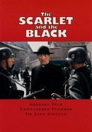 The Scarlet and the Black poster image