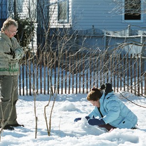 A scene from the film "Snow Cake." photo 1