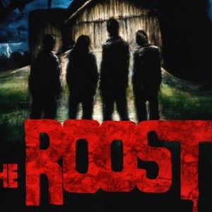 The Roost photo 4