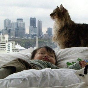 Babies photo 8