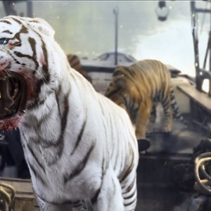 Roar: Tigers of the Sundarbans photo 11