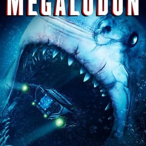 Megalodon photo 12