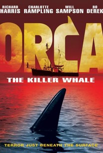 Orca - The Killer Whale