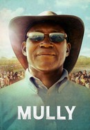 Mully poster image