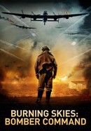 Burning Skies: Bomber Command poster image