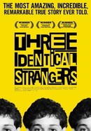 Three Identical Strangers poster image
