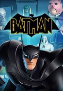 Beware the Batman poster image