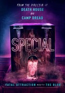 The Special poster image