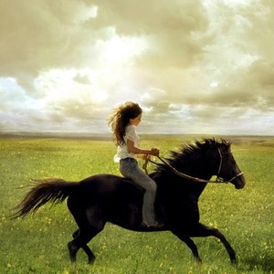 FLICKA, Alison Lohman, 2006. TM & Copyright (c) 20th Century Fox Film Corp. All rights reserved