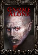 Gnome Alone poster image