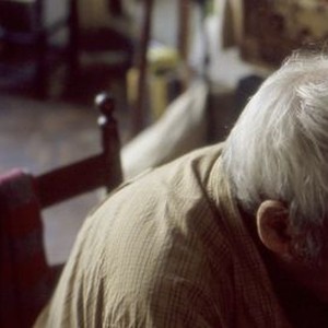 In No Great Hurry: 13 Lessons in Life with Saul Leiter photo 18