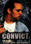Convict poster image