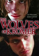 The Wolves of Kromer poster image