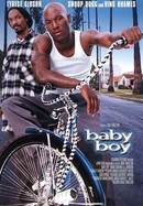 Baby Boy poster image