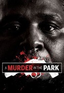 A Murder in the Park poster image