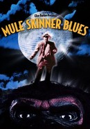 Mule Skinner Blues poster image