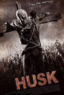 ザ・フィールド / Husk