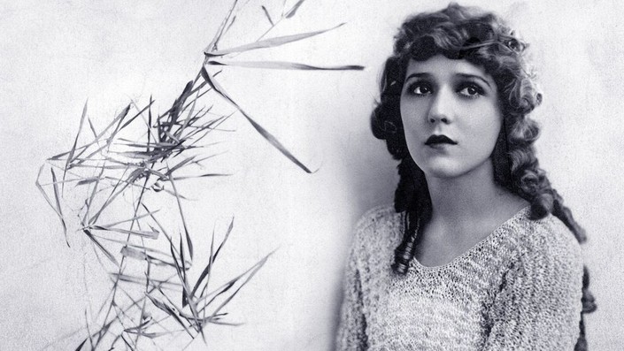 その他 Mary Pickford: Life on Film [DVD] Mary Pickford: Life on Film [DVD]