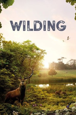 Wilding poster