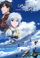 The Princess and the Pilot poster image