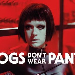 Dogs Don't Wear Pants photo 8