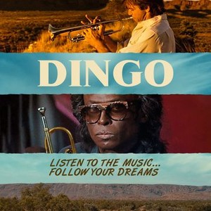 Dingo photo 4