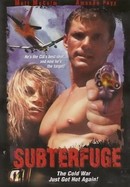 Subterfuge poster image