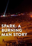 Spark: A Burning Man Story poster image