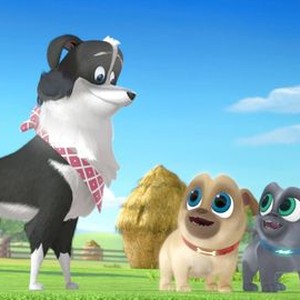 Puppy Dog Pals: Season 1, Episode 12 - Rotten Tomatoes