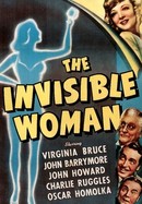 The Invisible Woman poster image