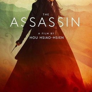 The Assassin (2015) photo 10