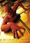 Spider-Man poster image