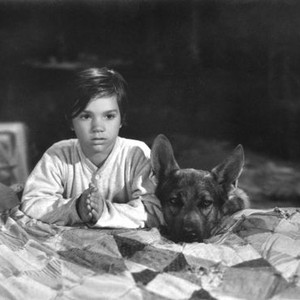 SIGN OF THE WOLF, Darryl Hickman, Smokey the Dog, 1941