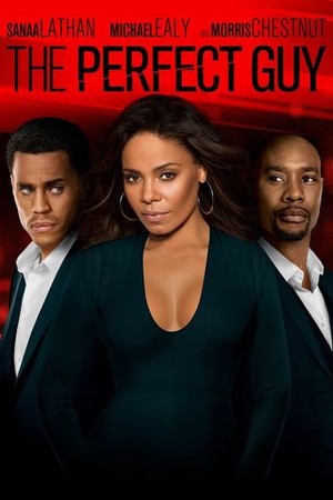 The Perfect Guy poster