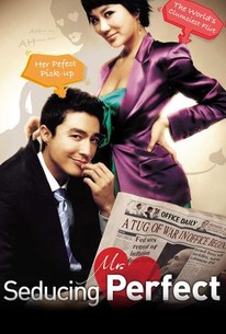 Poster for Seducing Mr. Perfect