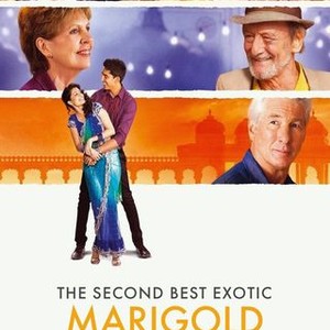 The Second Best Exotic Marigold Hotel photo 18