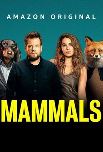 Mammals Season 1 Rotten Tomatoes