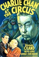 Charlie Chan at the Circus poster image