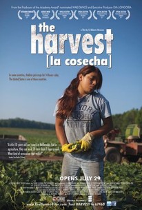 Poster for The Harvest