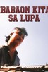 Poster for 