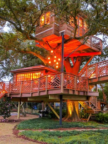 Treehouse masters watch online best sale