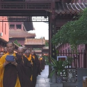 7 Days in Bailin Temple photo 5