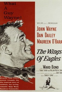 荒鷲の翼 / The Wings of Eagles