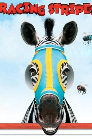 Racing Stripes poster