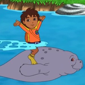 Go, Diego, Go!: Season 3, Episode 8 - Rotten Tomatoes