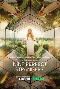 Nine Perfect Strangers: Limited Series Trailer - Everybody Has A Story poster image