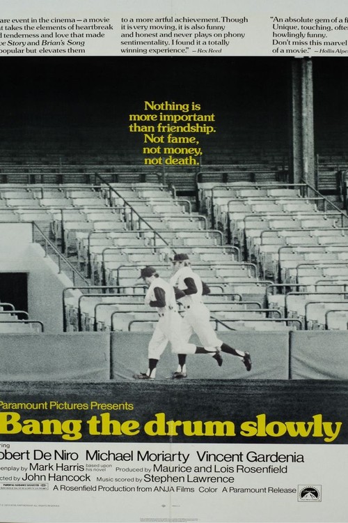 Bang the Drum Slowly poster