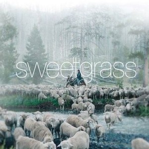 Sweetgrass - Rotten Tomatoes