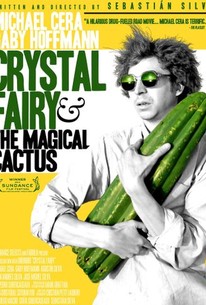 Watch trailer for Crystal Fairy & the Magical Cactus