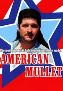 American Mullet poster image
